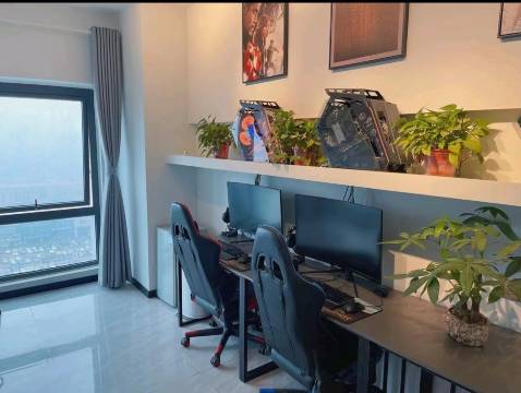 哈笛斯电竞民宿(新乡宝龙广场店)