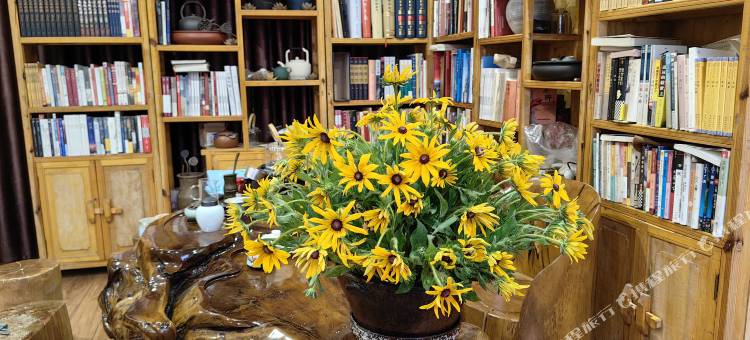 青木川平凡人家客栈图片