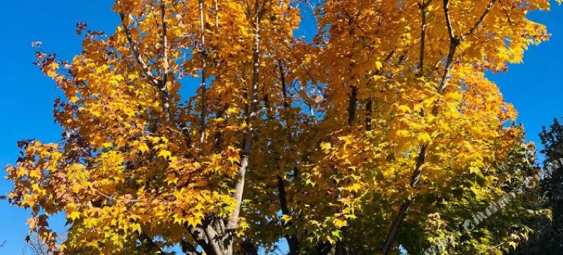 元舒·轻奢美宿图片