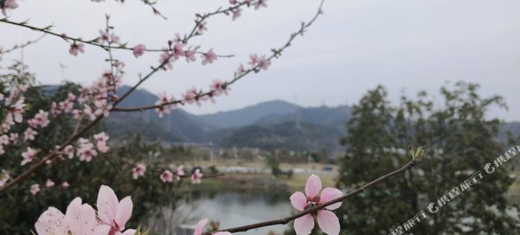 半糖民宿(人民广场陶阳里景区店)图片