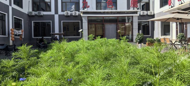 乌兰布统九色鹿生态假日酒店图片