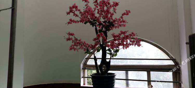 林州阳光宾馆(太行路店)图片