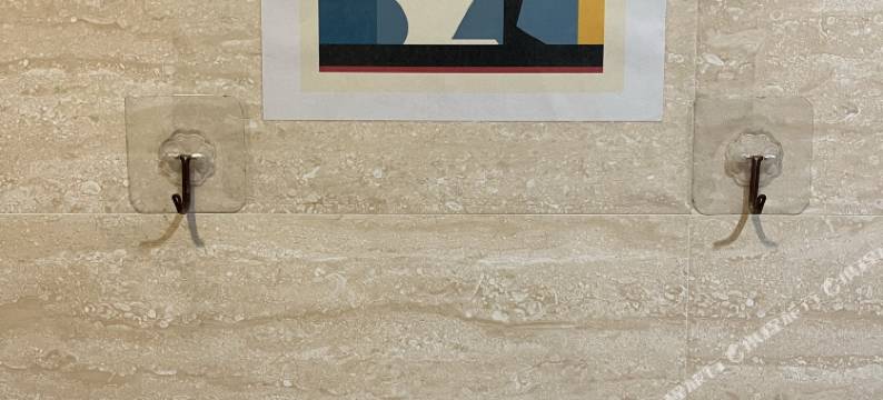 深圳核儿猫舍民宿图片