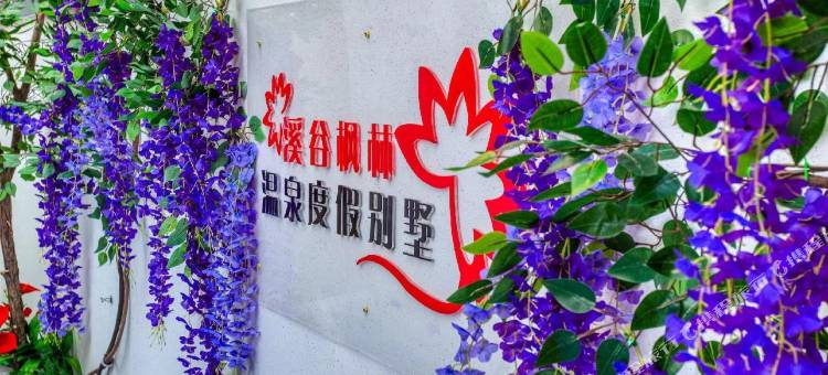 溪谷枫林温泉度假别墅图片