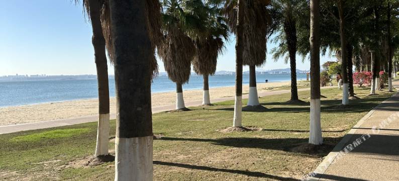 梦幻海宿图片