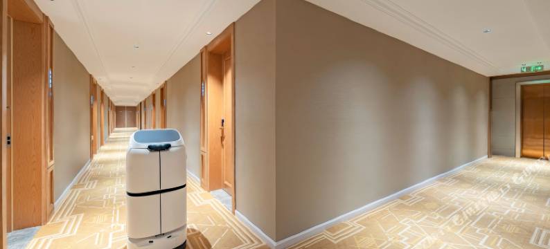 维也纳酒店(彭山青龙镇店)图片