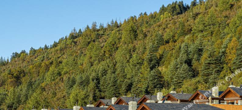 木里长海隐柏酒店图片