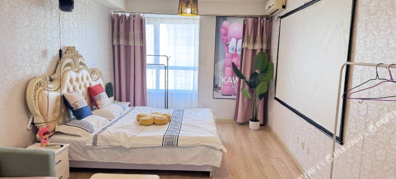 沈阳丽娜主题公寓图片