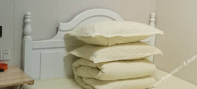 舒岳宾馆(泰安天烛峰路店)图片