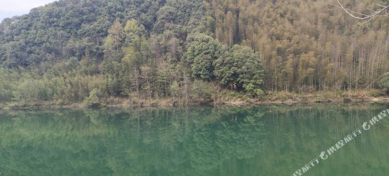 青龙湾客栈(宁国储家滩店)图片