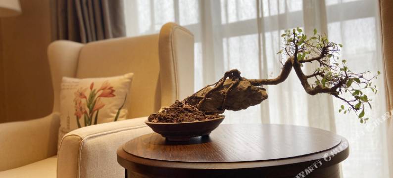 重庆威灵顿酒店图片