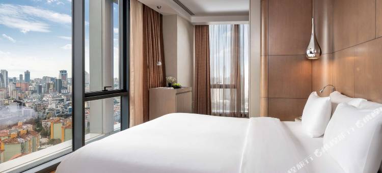 伊斯坦布尔亚洲丽笙酒店(Radisson Blu Hotel Istanbul Asia)图片