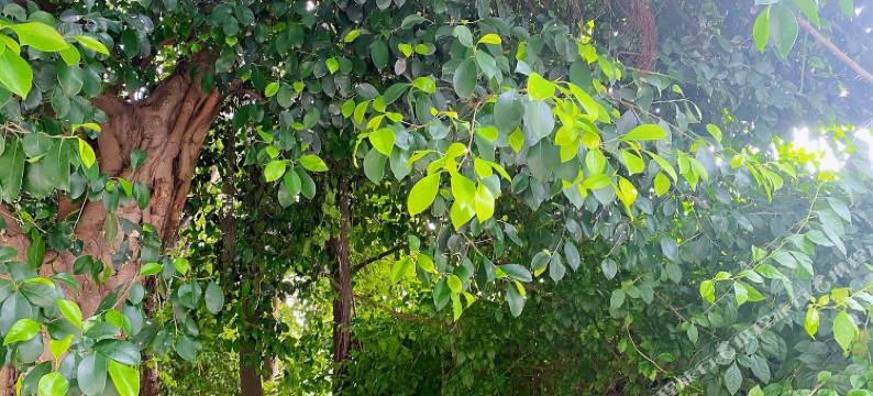 海宁荣升商务宾馆图片