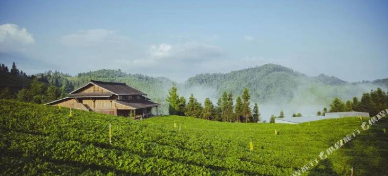 黎平龙形冲TEATEL茶主题民宿图片