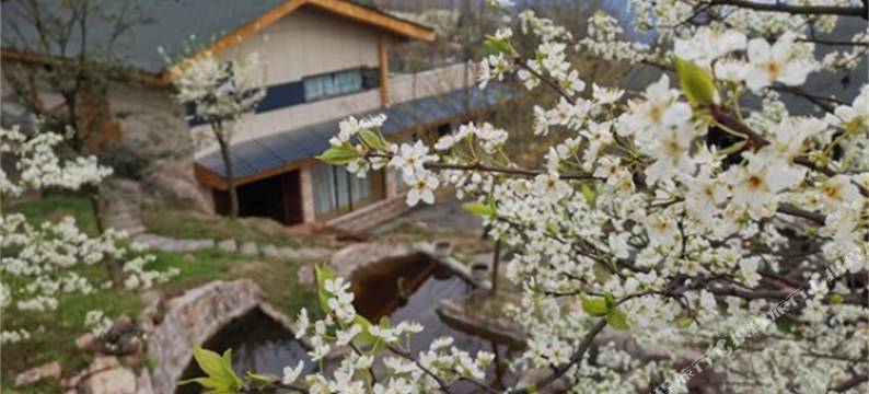 观心山居民宿图片