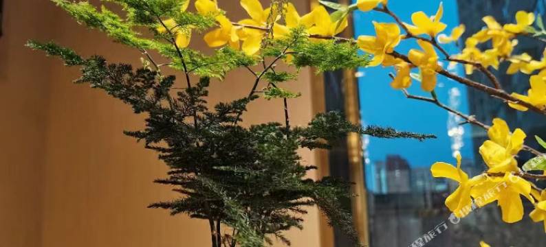 美凡·季酒店(太原南内环财大北校店)图片