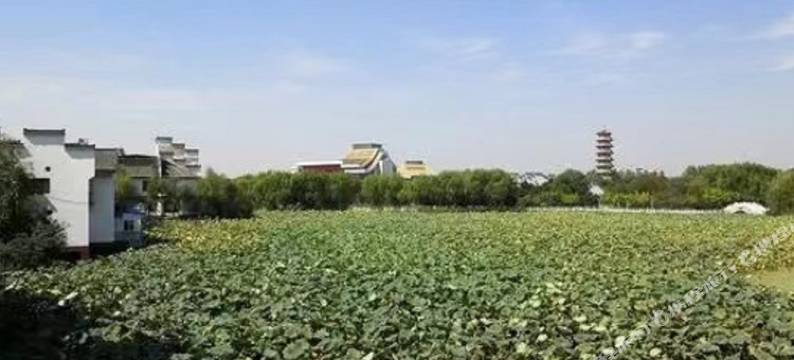 鑫凤宾馆(潜江曹禺公园)图片