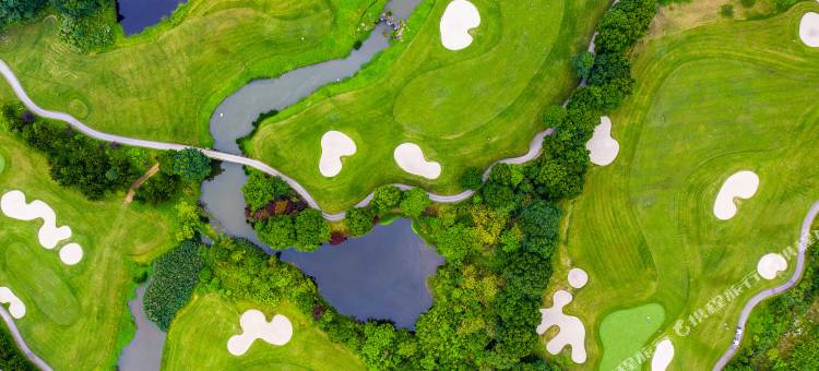 重庆上邦酒店图片