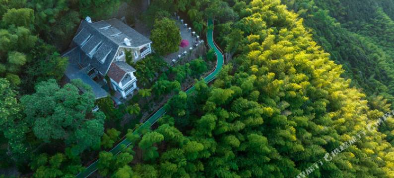 莫干山杜月笙公馆.柏野民宿图片
