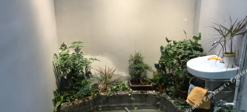 潮州南苑客栈(牌坊街古城店)图片