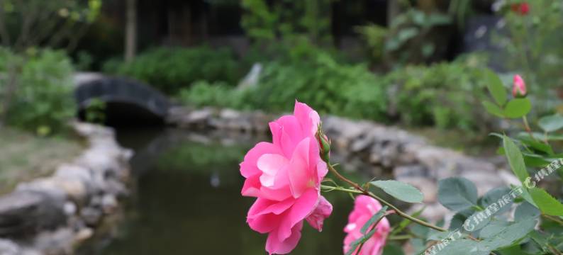 贾园·方今民宿图片