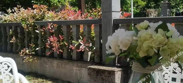 杭州临安天幕溪民宿图片