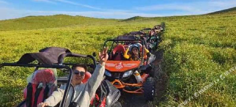 额尔古纳逅花园营地图片