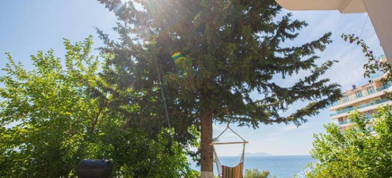 Gaudium别墅(Villa Gaudium)图片