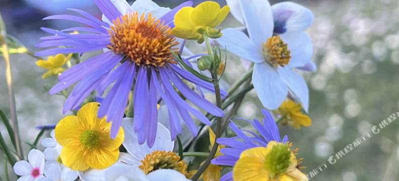 康定蓉都藏韵酒店图片