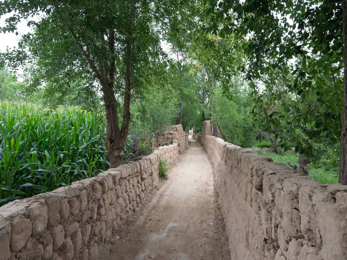 携程度假农庄(宁夏中宁黄羊古落联营店)图片