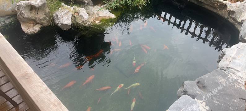 清欢小院民宿图片