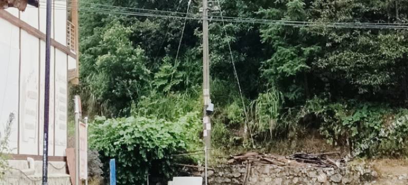 友来居民宿图片