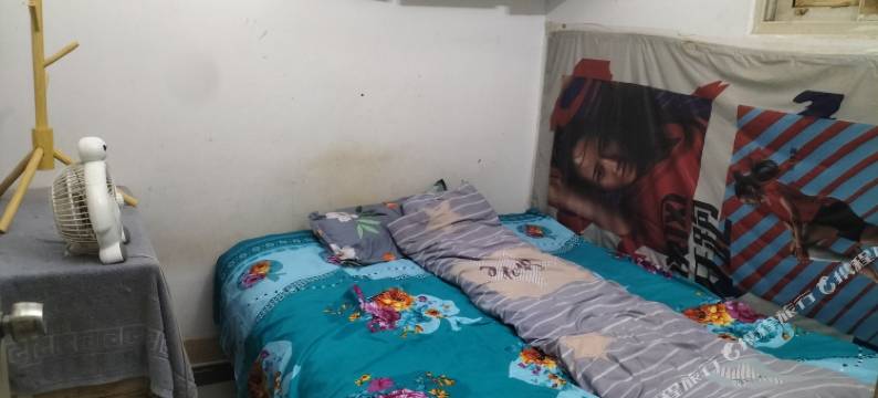 扬州老叶名宿图片