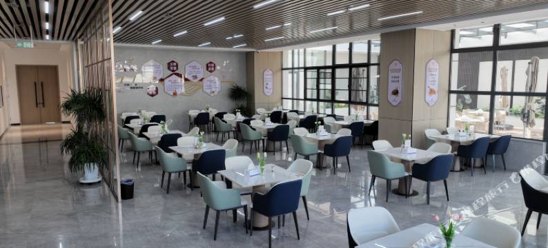 梧桐汇酒店图片