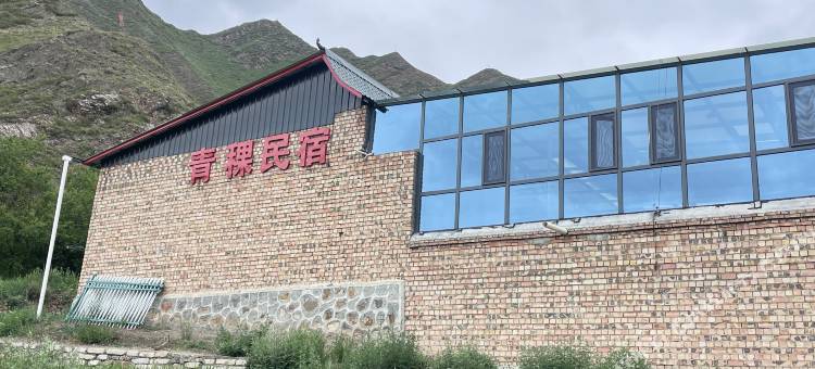 卓尼青稞民宿图片