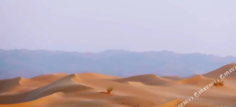 沙坡头如家庄园图片