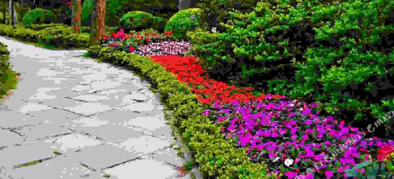 庐山胡阿姨家庭旅馆图片