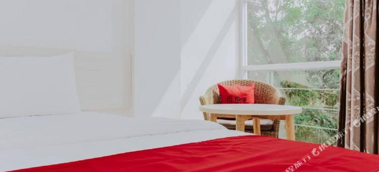 红门酒店-近班芝兰(RedDoorz Near Pancoran)图片