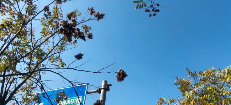 无锡安澜轻宿(江南大学店)图片