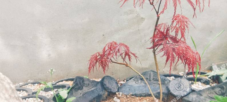烟台0527散人特色民宿图片