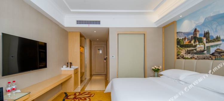 维也纳酒店(洛阳九都路牡丹广场店)图片