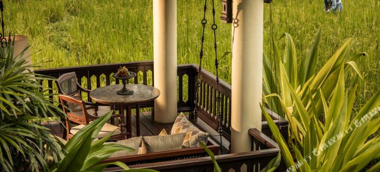 清迈四季度假酒店(Four Seasons Resort Chiang Mai)图片