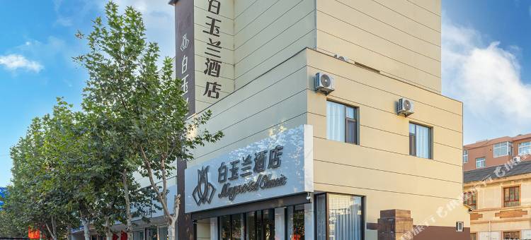 白玉兰酒店(阳信信誉楼阳城四路店)图片