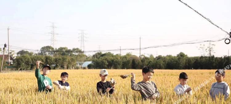 宁波构城安屿民宿图片