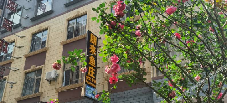 抚仙湖朋来鱼庄客栈图片