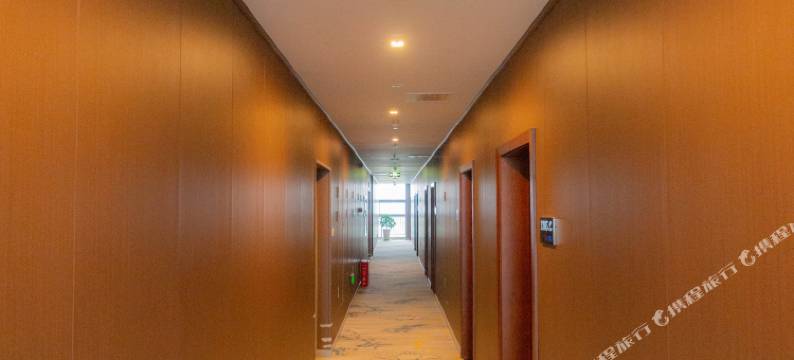 江油铂金智慧酒店图片