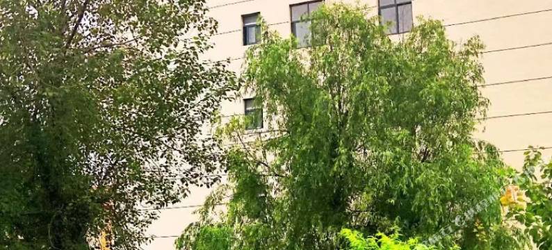 苏马荡居有竹别苑图片