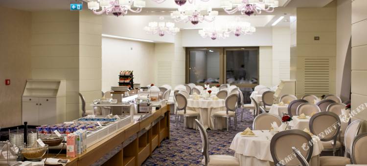 雅西国际酒店(Hotel International Iasi)图片