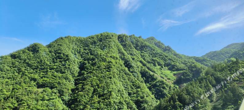 神农架山与山寻民宿(木鱼镇店)图片