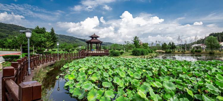 丹东北国之春温泉康养中心图片